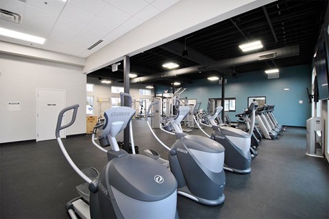 A gym with a row of exercise bikes.