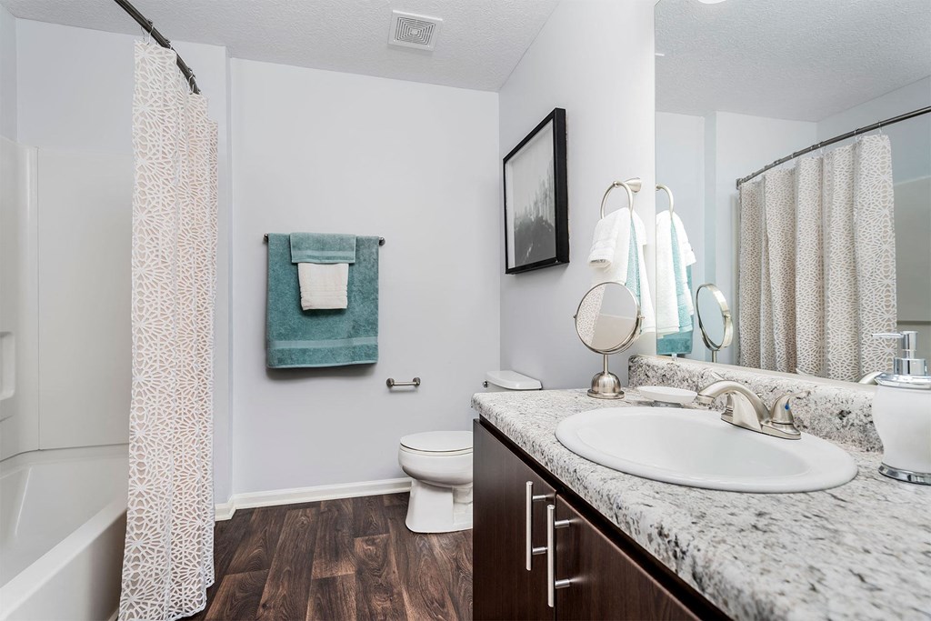 a bathroom with a sink and a toilet and a shower