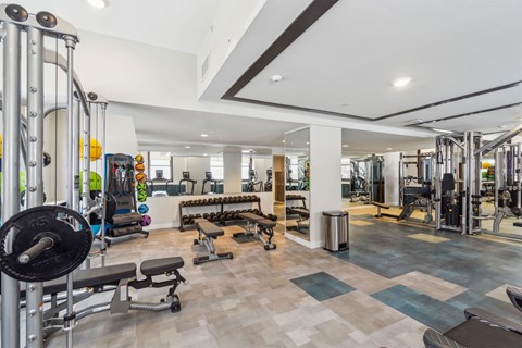 A gym with a variety of equipment including weights and cardio machines.