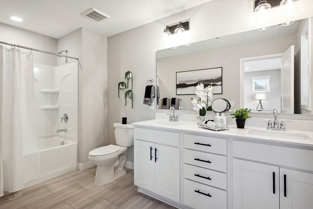 Canvas at Inver Grove _ Bathroom