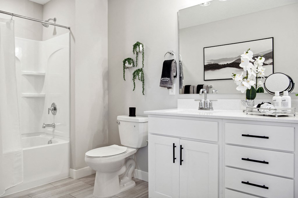 Canvas at Inver Grove _ Bathroom