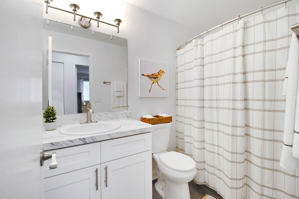 A bathroom with a white toilet, sink, and shower curtain.