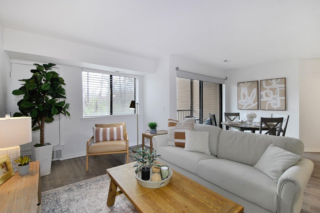 A living room with a grey couch, a wooden coffee table, and a potted plant.