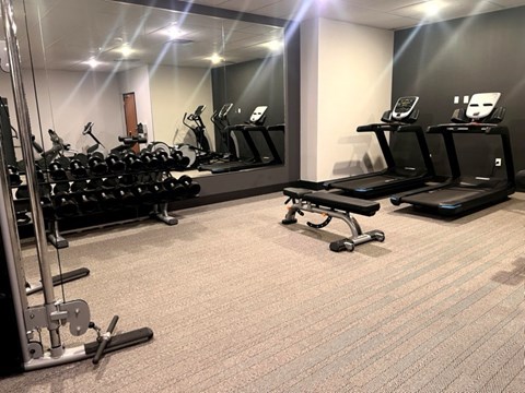 A gym with treadmills, weights, and exercise equipment.