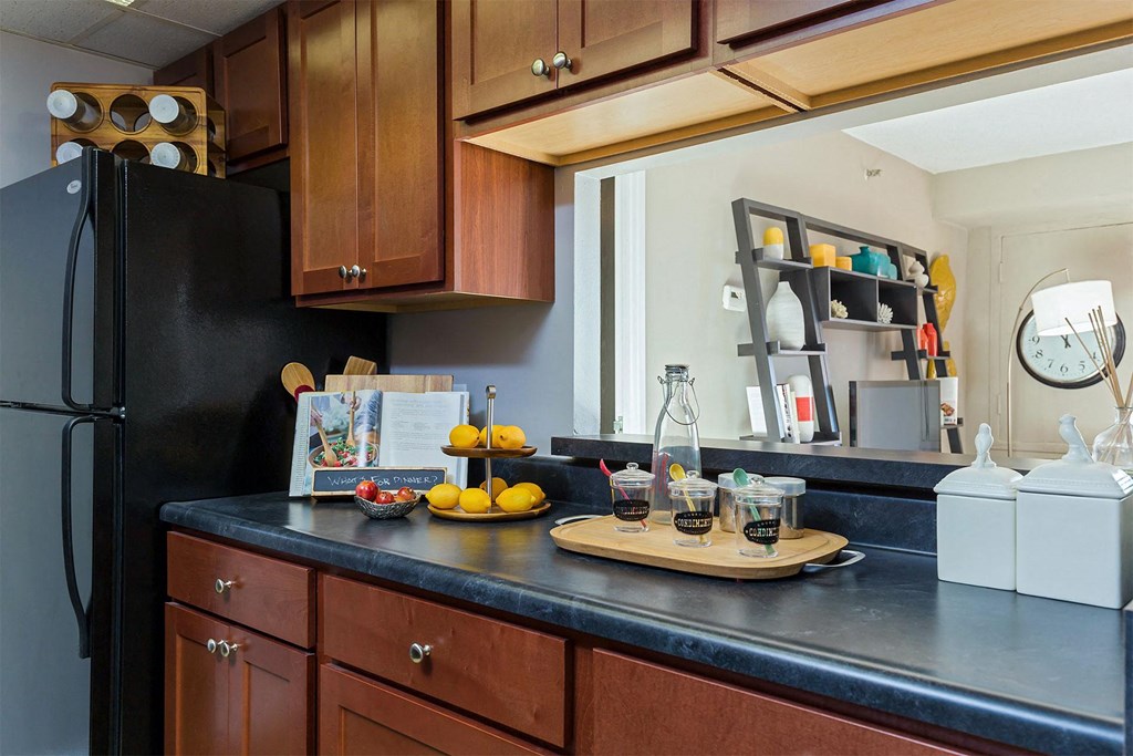 Detroit City Apartments Model Kitchen