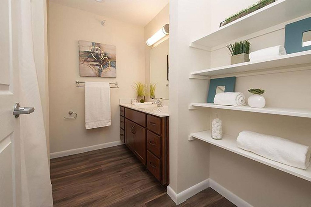 a bathroom with a sink and a mirror