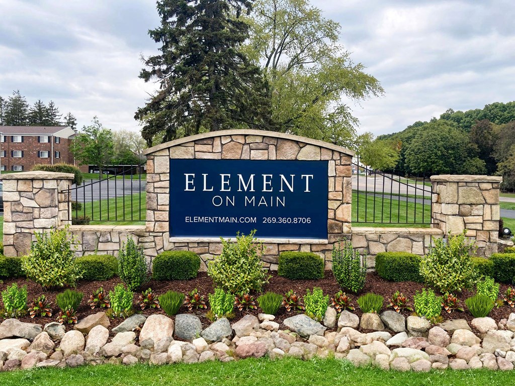 Element on Main Entry