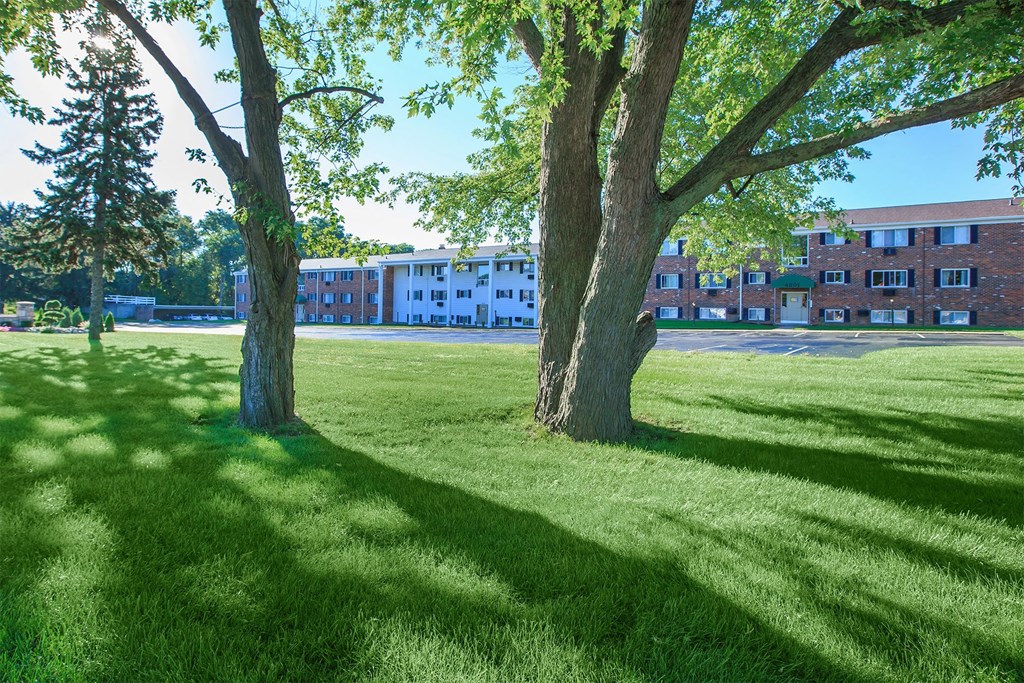 a lawn with two trees in front of a building
