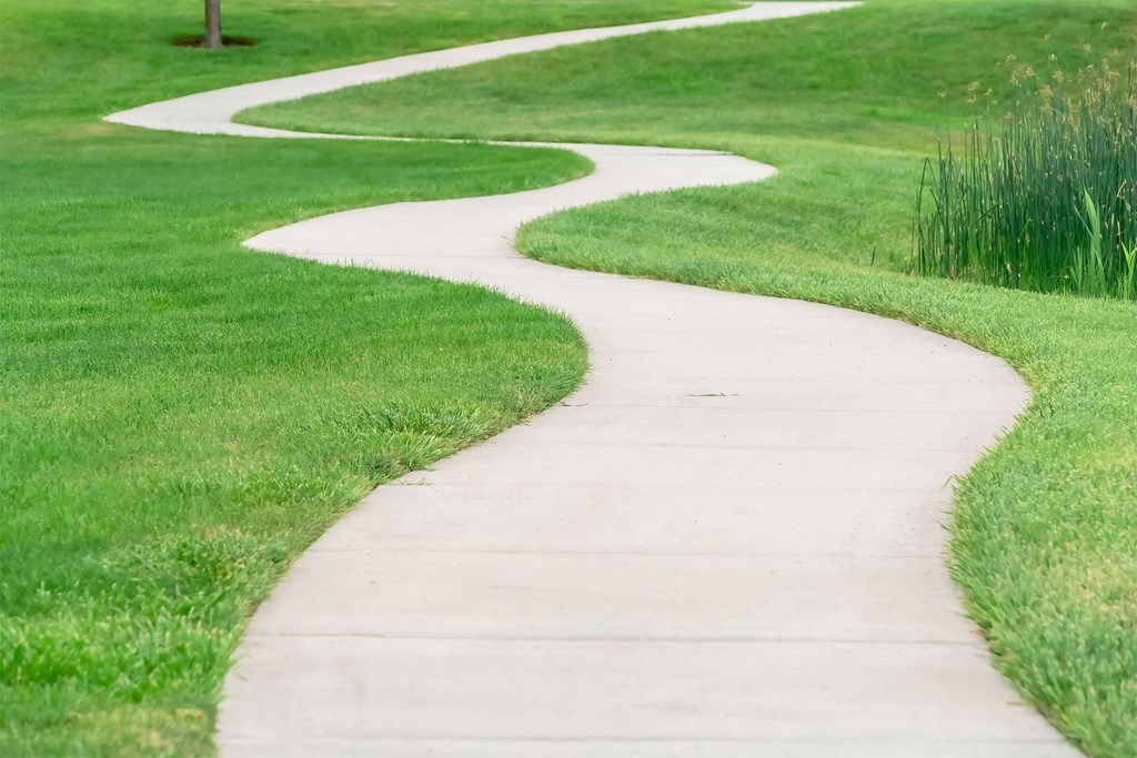 a curved sidewalk running through a field of grass