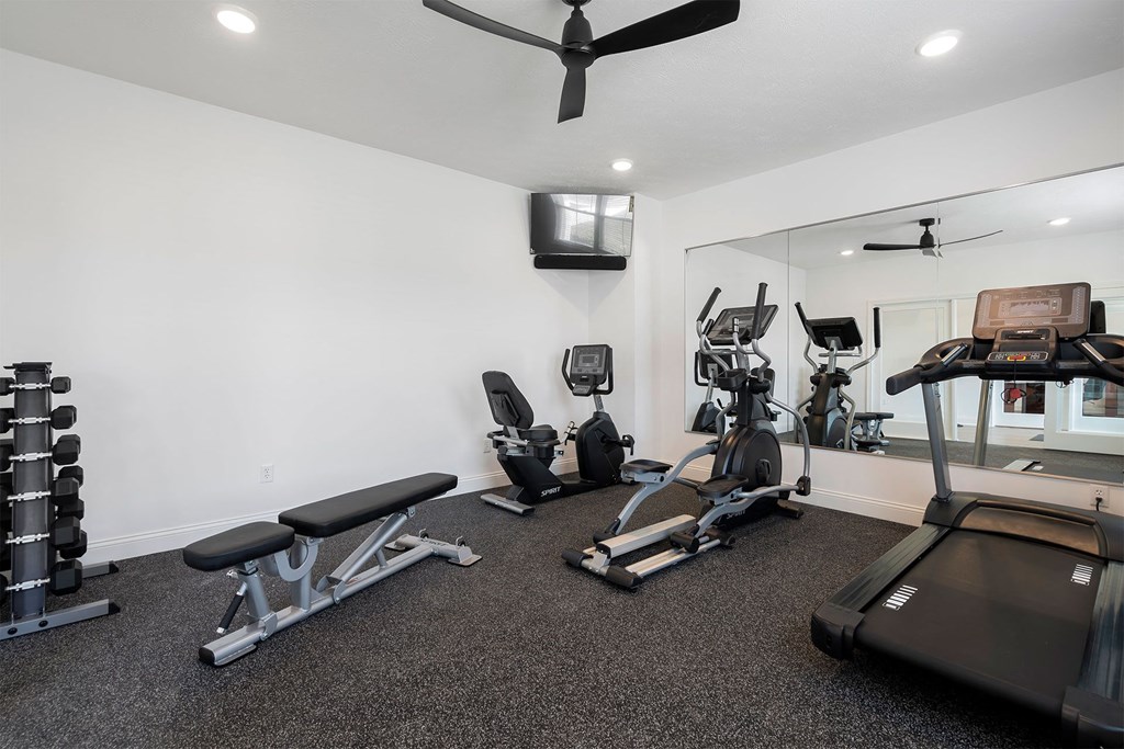 a gym with treadmills and other exercise equipment
