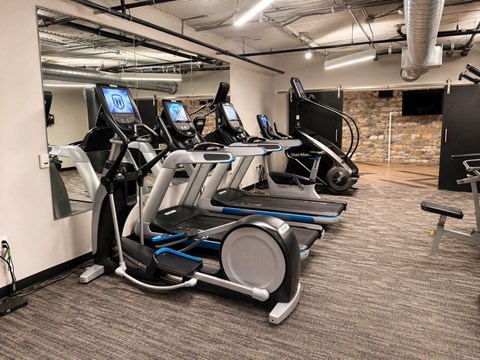 A gym with treadmills and elliptical machines.