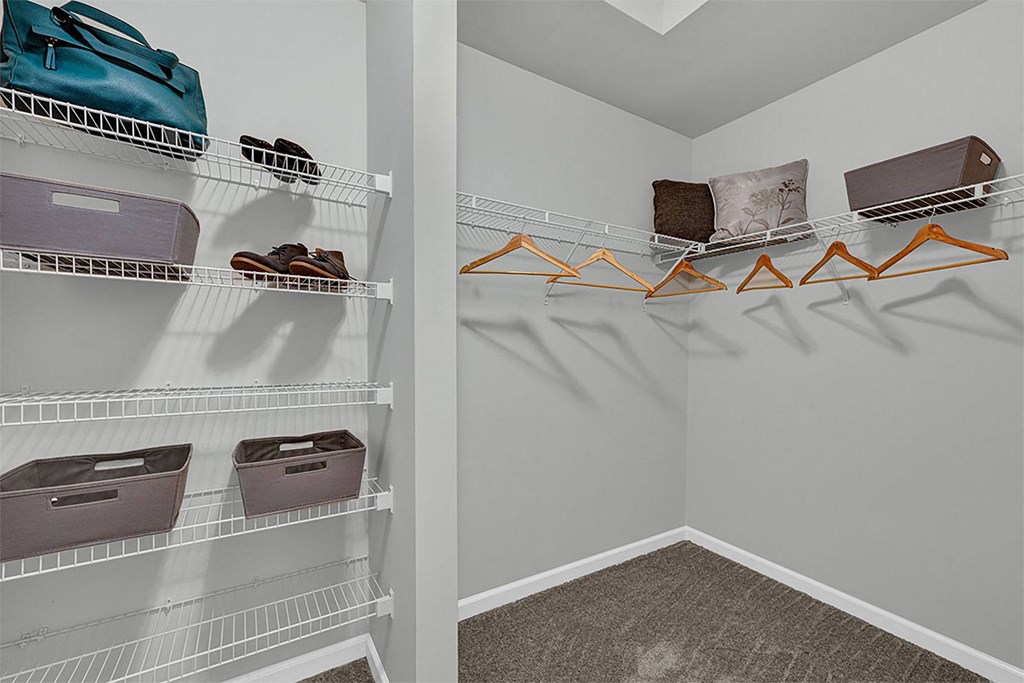 spacious closets with shelves and shelves of shoes and bags