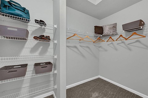 spacious closets with shelves and shelves of shoes and bags