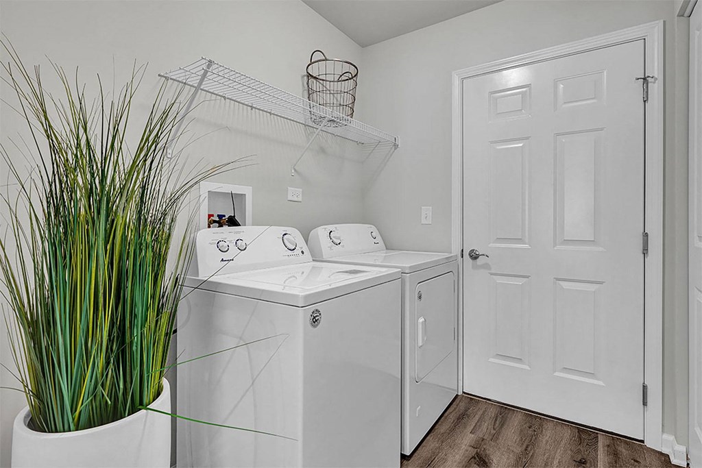 a white laundry room with a washer and dryer and a plant
