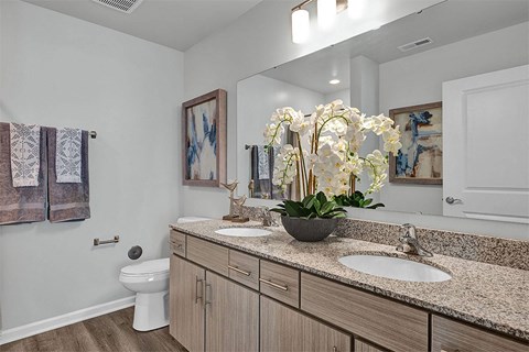a bathroom with two sinks and a toilet