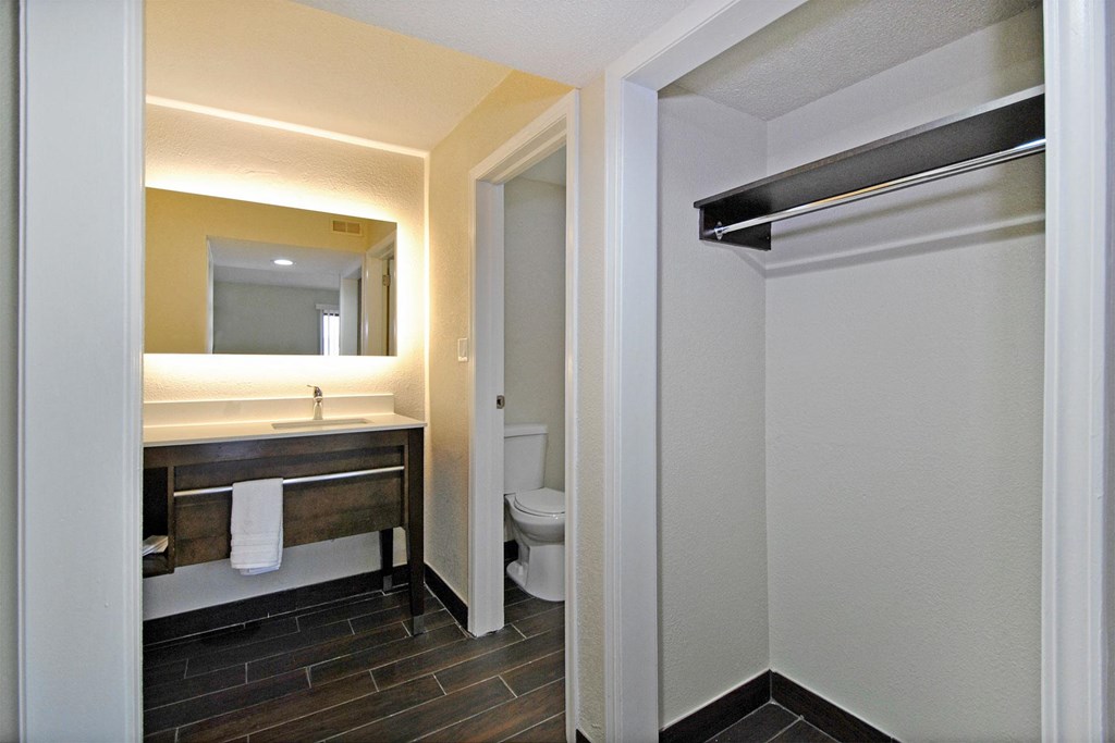 a bathroom with a toilet and a sink and a mirror