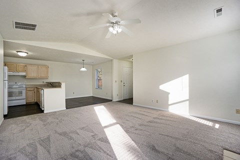 The Vista Apartments and Townhomes Living and Kitchen Area