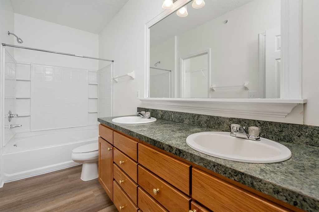 a bathroom with a sink and a toilet and a mirror