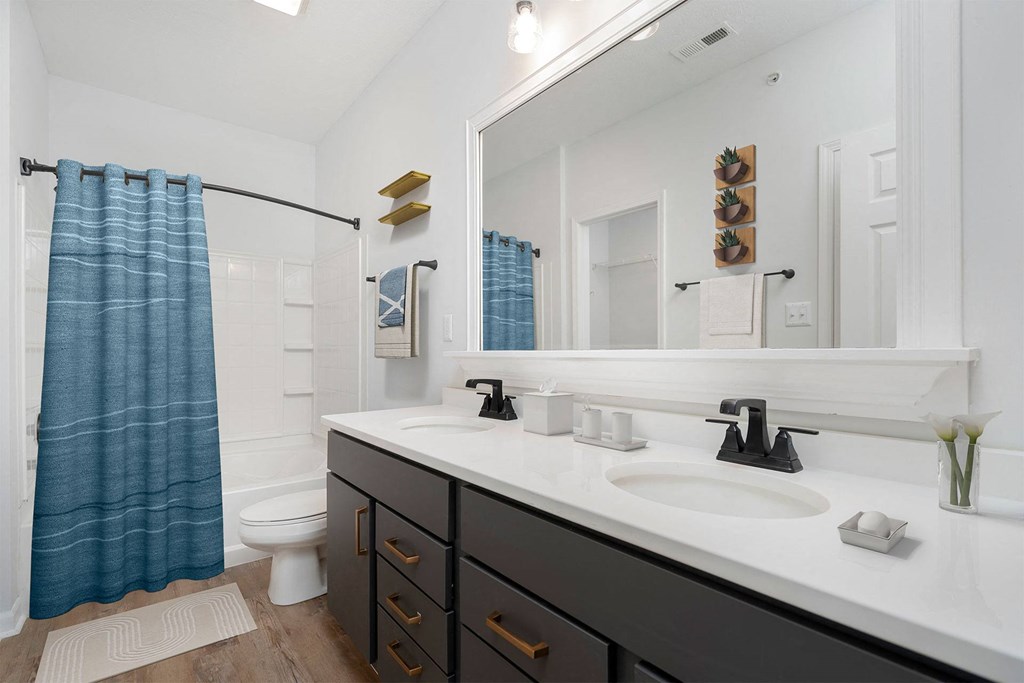 a bathroom with a large mirror and a sink and a toilet