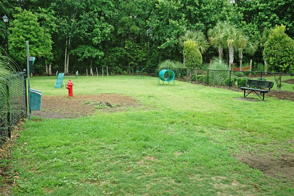 Vinings at Carolina Bays Pet Play Area