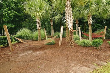 vinings at carolina bays outdoor hammocks - Photo Gallery 16
