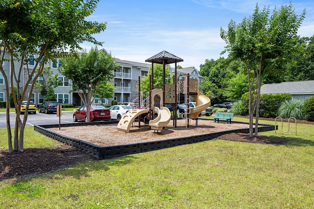 Vinings at Carolina Bays Playground