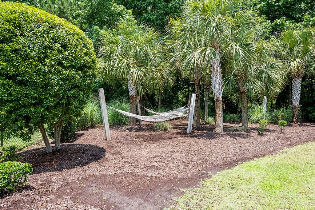 Vinings at Carolina Bays Exterior Hammock