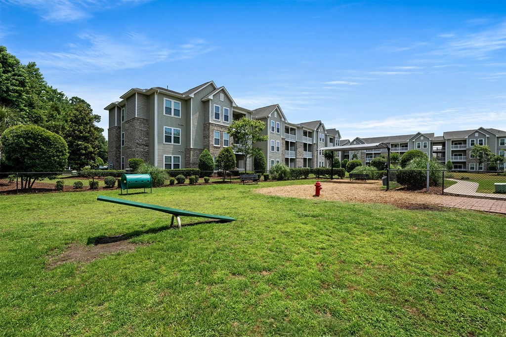 Vinings at Carolina Bays Pet Play Area