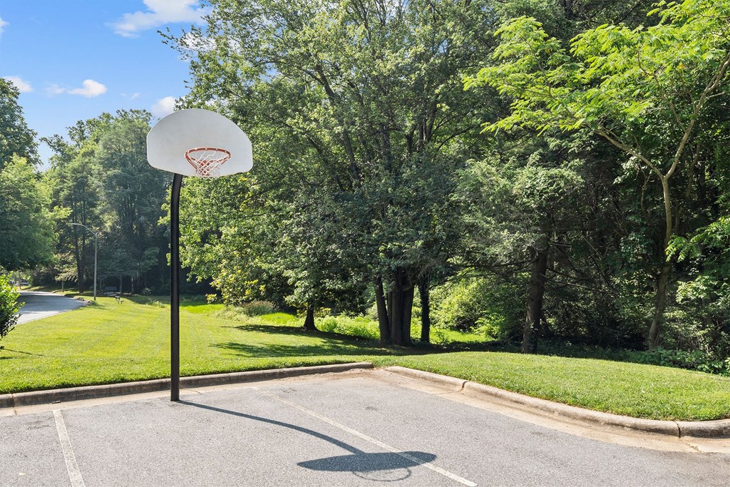 Woods_Edge_Apartments_Basketball Court