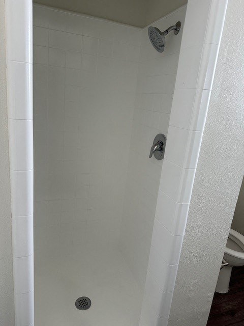 a white shower in a bathroom with a toilet