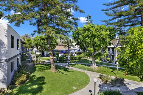 A tree in a yard is taller than the house.
