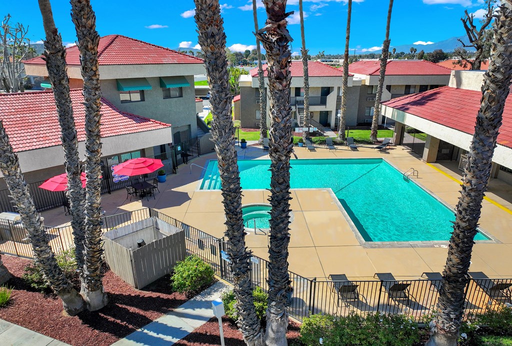 A pool surrounded by palm trees and red umbrellas.