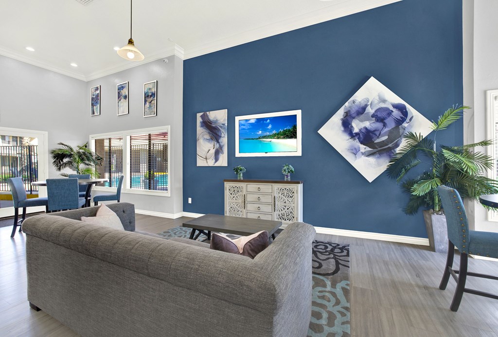 A living room with a grey couch and a blue wall.