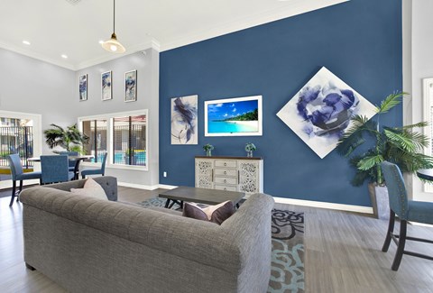 A living room with a grey couch and a blue wall.