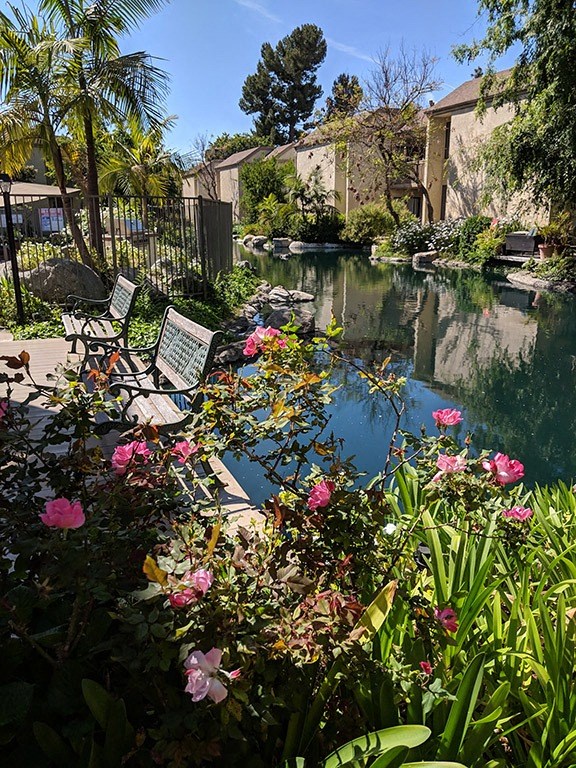 Flowers In Garden at LAKE DIANNE, Santa Ana, CA, 92705