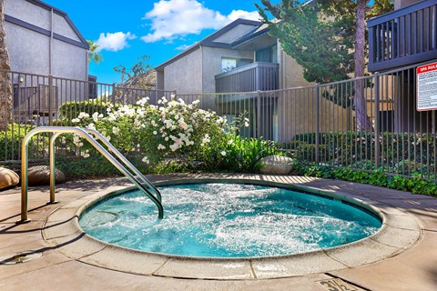 Outdoor spa with metal handrails and flowering bushes at LAKE DIANNE Apartments, Santa Ana, 92705