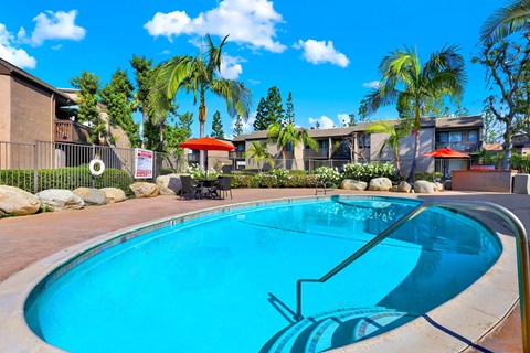 A swimming pool surrounded by palm trees and a building in the background.