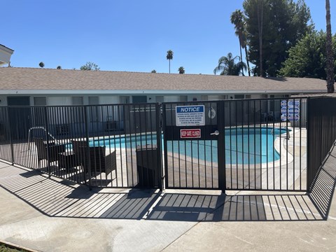 Palmbrook Pool