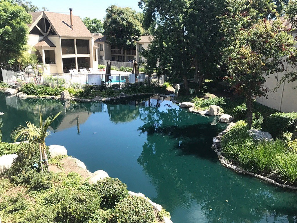 Stream View at LAKE DIANNE, Santa Ana