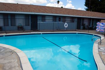 Palmbrook Apartment Homes Pool