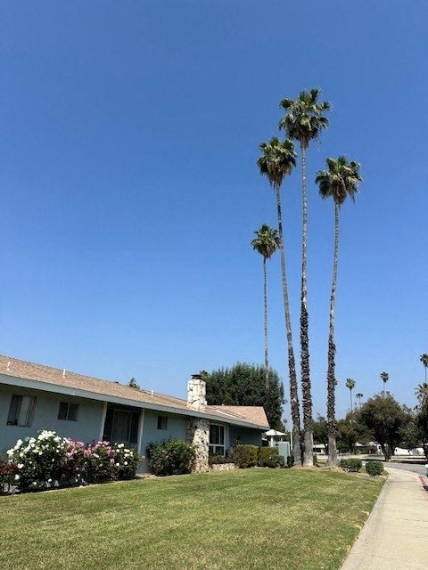three tall palm trees in front of a house