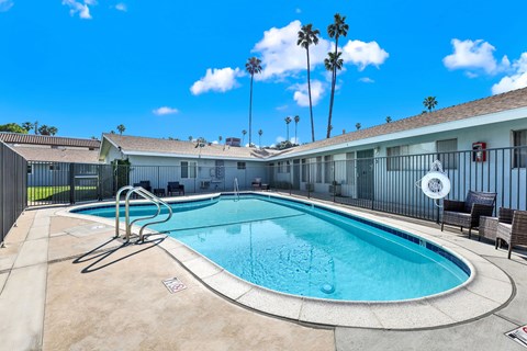 A pool surrounded by a black fence with a chair and palm trees in the background.