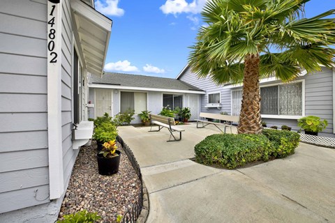 A palm tree stands in the middle of a concrete patio.