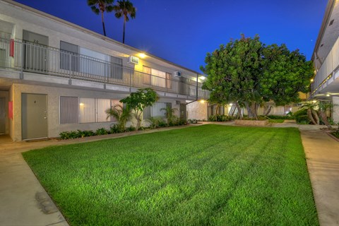 A well-lit outdoor area with a green lawn and a building in the background.