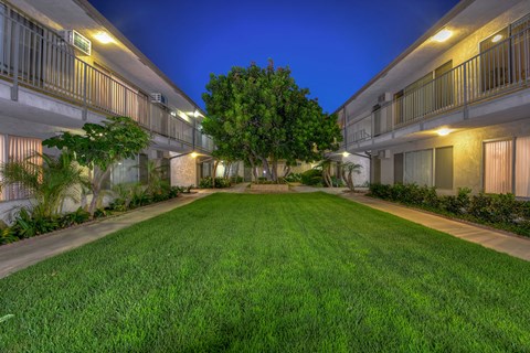 A grassy courtyard surrounded by apartment buildings.