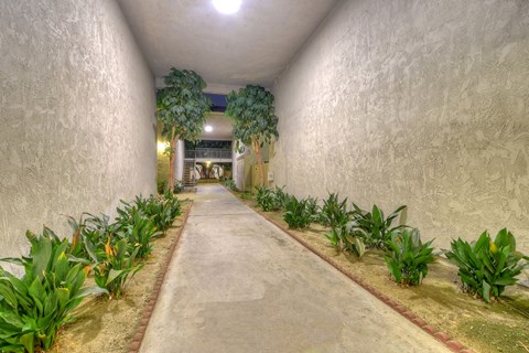 A long hallway with plants on either side.
