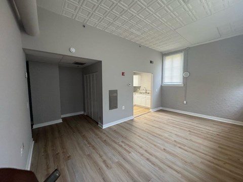 Representative Peabody Unit 104 living room with decorative ceiling and wood-look flooring.