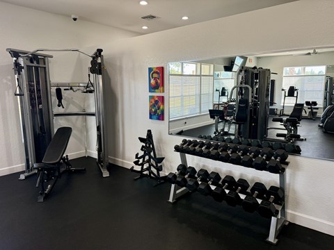 Audubon Oaks Gym, Lakeland FL