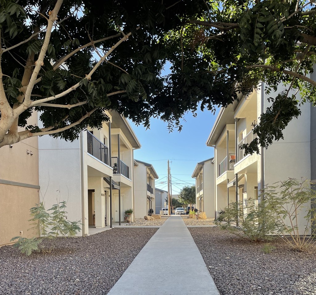 A tree-lined walkway leads between two rows of modern townhouses.