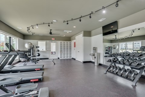 A spacious gym with treadmills, elliptical machines, and dumbbells.